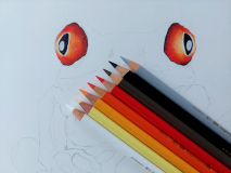 Blank white paper with only two red eyes of a red-eyed tree frog. The different coloured pencils used in the creation are also shown.